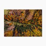 Tablou abstract Falling Colors
