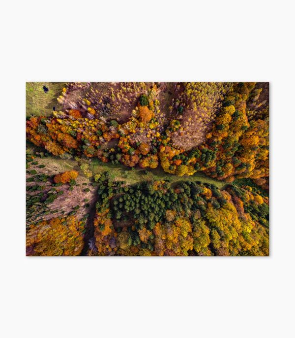 Tablou abstract Falling Colors